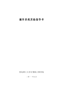 2009操作系统实验指导书