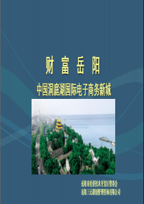 中国洞庭湖国际电商新城园区