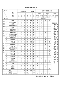 2010年7月护理专业新修教学计划1