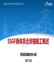 20171006+-SSGF新体系全穿插施工概述(2)