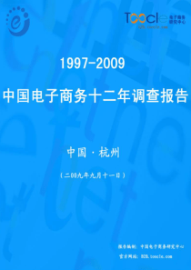 中国电子商务12年发展报告