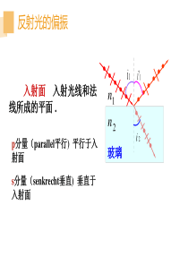 反射光的偏振