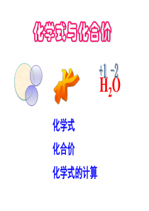 4.4化学式与化合价课件