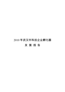 2010年武汉市科技企业孵化器发展报告