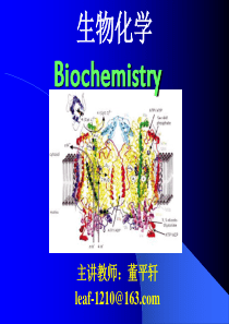 生物化学20140226