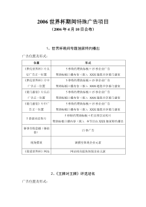 2006年德国世界杯特殊广告形式方案(综合版)