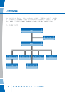 彩虹集团电子股份有限公司二