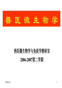 2013执业兽医资格考试微生物学细菌总论