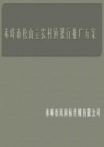 农村镇银行营销推广方案_图文.ppt