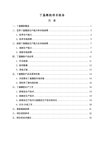 丁基橡胶项目报告XXXX0303