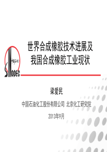 世界合成橡胶技术进展及我国合成橡胶工业现状-XXXX上海