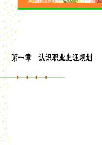 职业生涯规划1