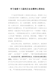 学习省委十三届四次全会精神心得体会