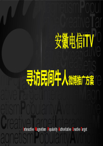 安徽电信iTV社会化媒体营销方案（PPT34页）