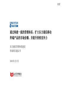 远卓东方通信营销系统咨询项目建议书