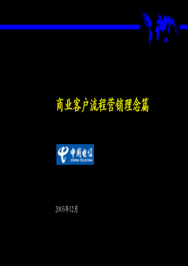 麦肯锡-为广东电信总经理级别进行的BPR培训材料（商业客户营销理念）（PPT102页）