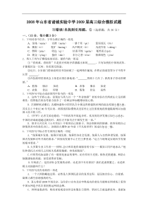 2008年山东省诸城实验中学2009届高三综合模拟试题