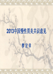 2013中国慢性胃炎共识意见