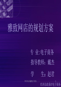 师专经法系07电子商务雅致网店的规划方案