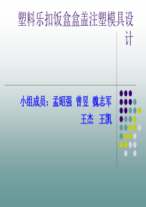 塑料乐扣饭盒盒盖