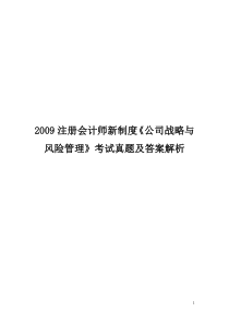 2009《公司战略与风险管理》考试真题