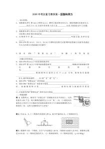 2009中考总复习教学案--压强和浮力