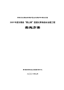 2009年甘德县“黑土滩”综合治理工程实施方案修改稿