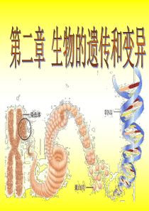 八年级下第七单元第二章生物的遗传和变异