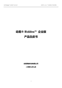 动易 BizIdea 企业版产品白皮书 网站建设