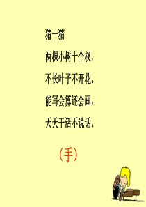 《画》教学课件