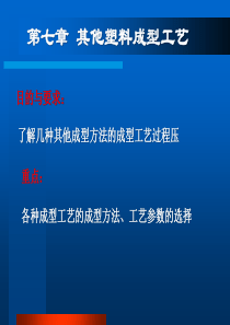 塑料成型工艺其它成型刘