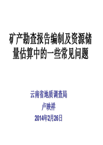 卢映祥―矿产勘查报告及资源储量估算中的一些问题20140226