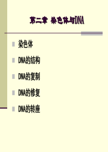 02 染色体与DNA-1