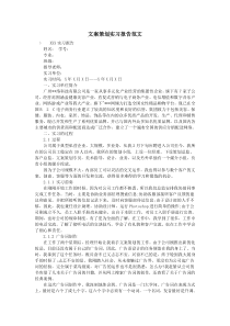 文案策划实习报告范文