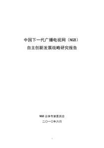 中国下一代广播电视网(NGB)自主创新发展战略报告