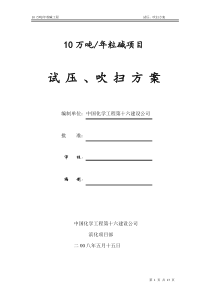 10万吨年粒碱试压吹扫方案