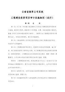 云南省烟草公司系统工程建设投资项目审计实施细则(试行)