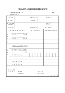 塑料板防水层检验批质量验收记录