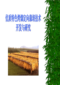 优质特色烤烟定向栽培技术开发与研究