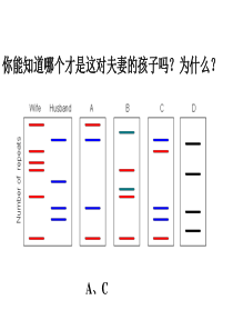 5、核酸