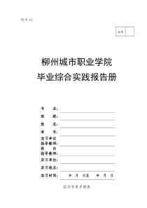 12柳州城市职业学院毕业综合实践报告册92610