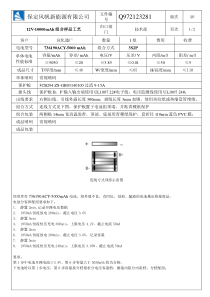 12V10Ah聚合物电池组方案