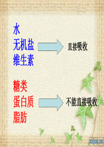 课用：人体对食物的消化吸收