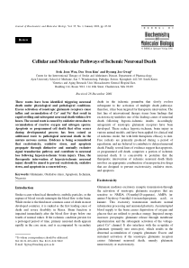 Cellular and Molecular Pathways of Ischemic Neuron