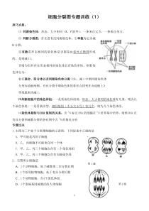 16细胞分裂图专题训练1