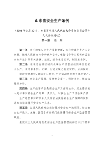 山东省安全生产条例(山东省第十届人大常委会第80号公告)