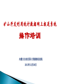 01021658内蒙古矿山开发利用统计数据网上报送系统简介