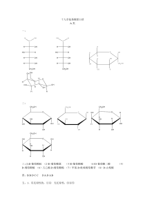 19第十九章氨基酸蛋白质核酸