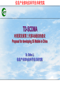 TD-SCDMA-对我国发展第三代移动通信的建议