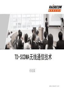 TD-SCDMA无线通信技术